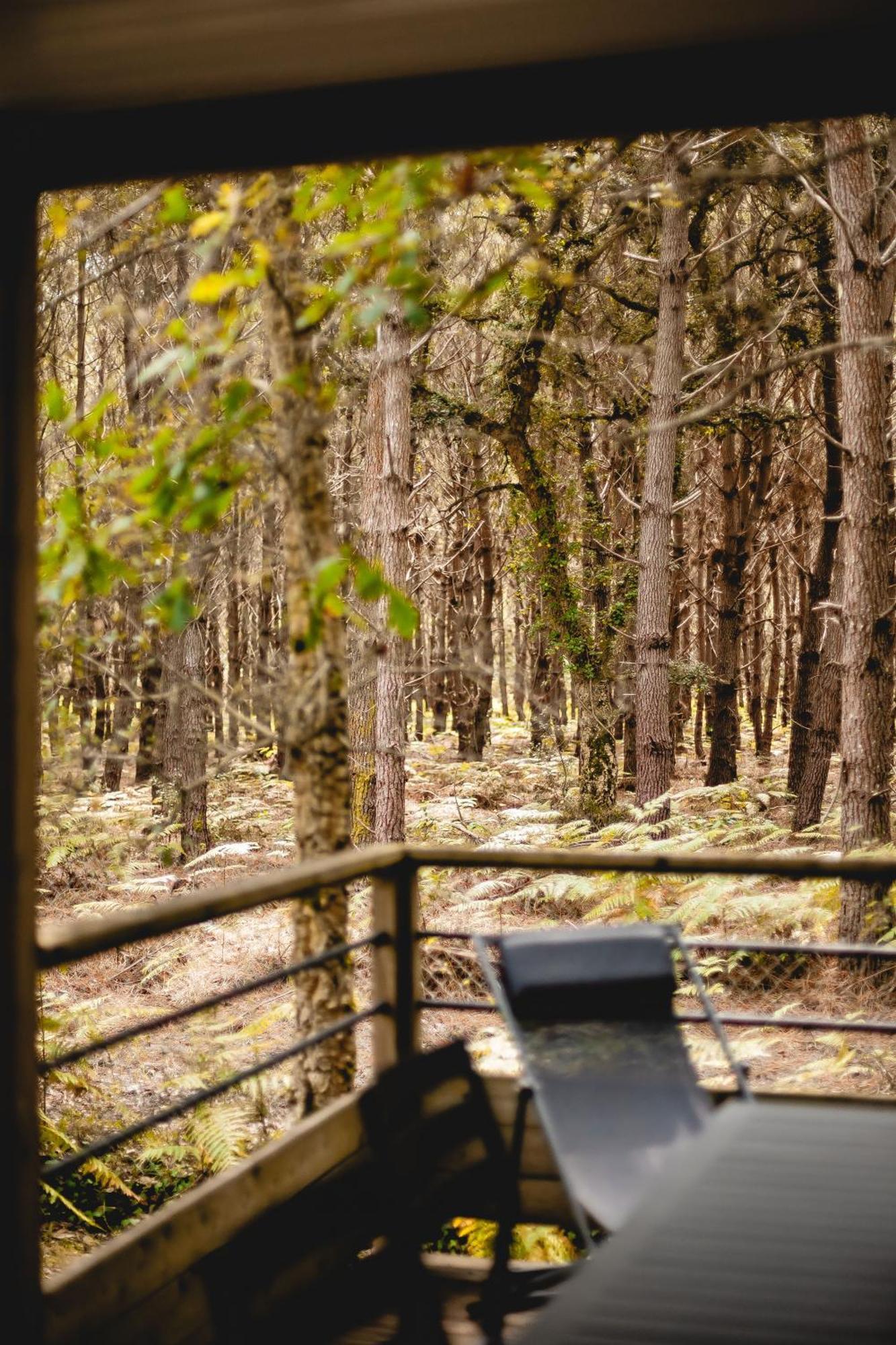 ホテル Les Maritimes セノッス - ル・ペノン 部屋 写真